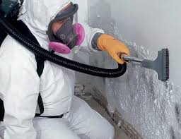 Desert Palms, CA Mold Removal & Remediation Company